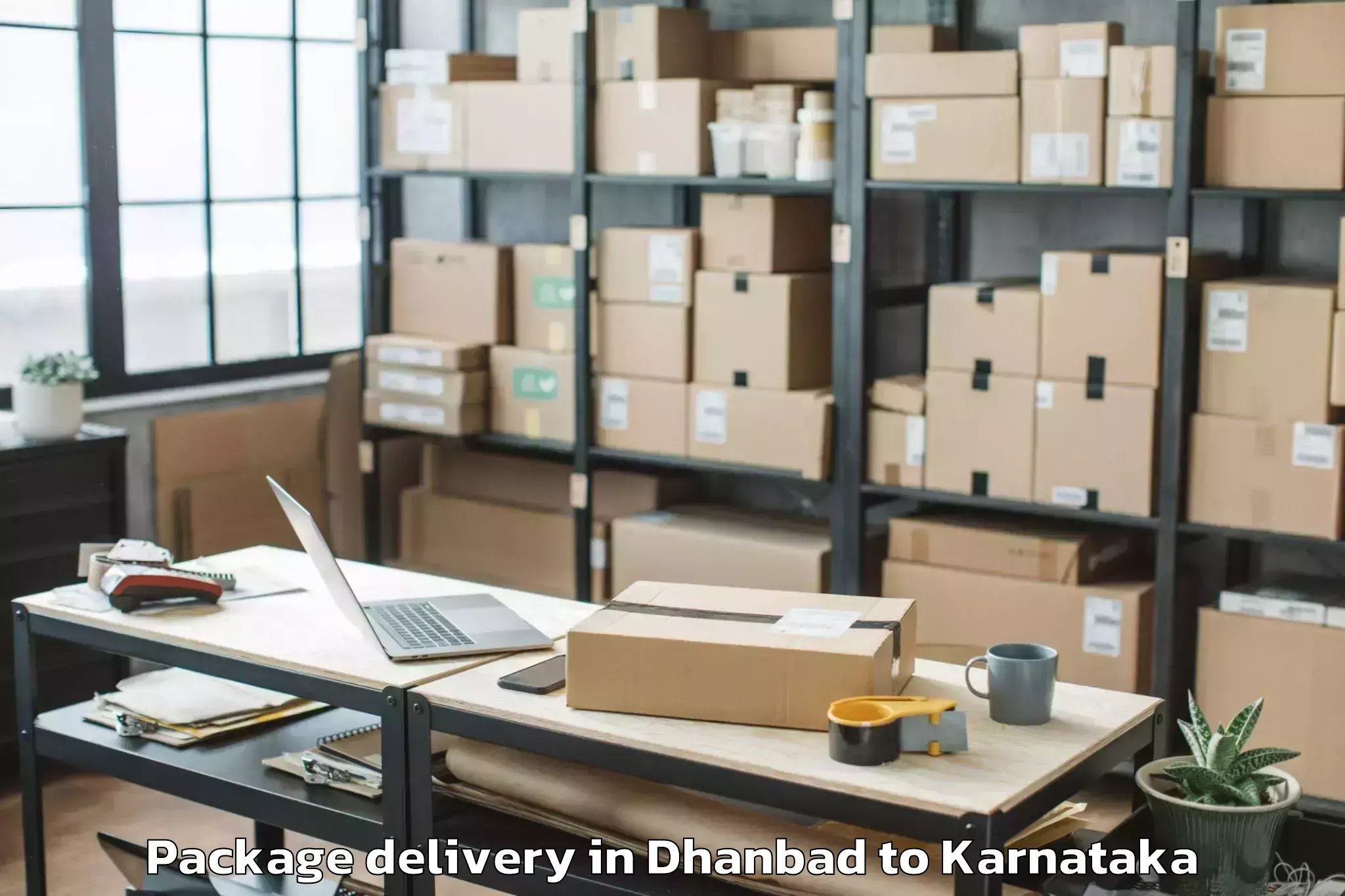 Expert Dhanbad to Holalkere Rural Package Delivery